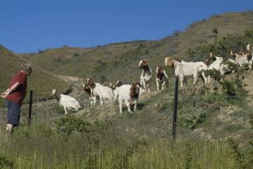 Nigel Greening and friends